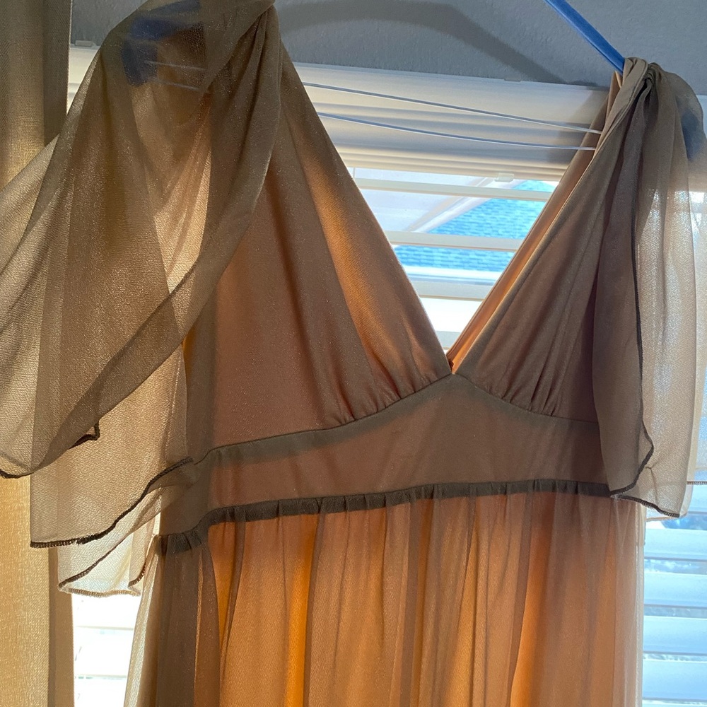 Elegant Sheer Gold Dress